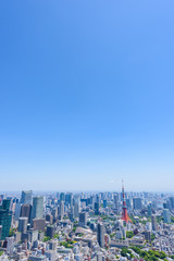 Obraz premium Panoramę Tokio z Tokyo Tower