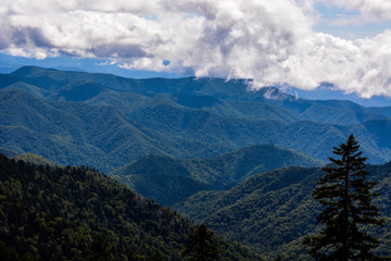 Fototapeta premium Smokey Mountain National Park
