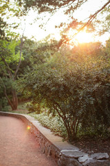 path in the park at sunset