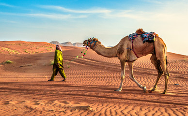 The Camel and the man