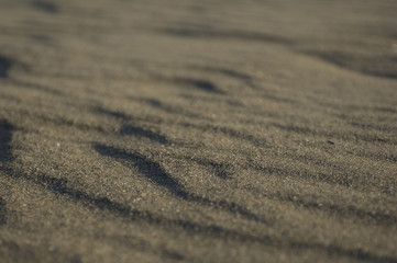 A close-up of rippling beach sand.