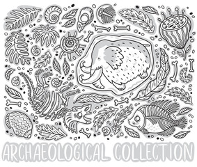 Black and white collection of cartoon Triceratops fossil, mammoth in ice, ancient ammonites ferns, trilobite, leaves