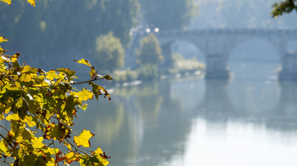 Autumn leaves framing a misty view down the River Tiber, Rome, Italy