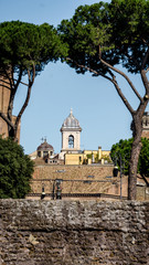 Buildings framed by trees viewed from the Roman Forum, Rome, Italy