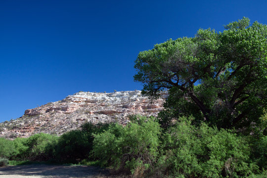 Tall cottonwoods and scrubby mesquite trees line a beautiful stone cliff beside the lagoon at Dead Horse Ranch State Park near Cottonwood, Arizona