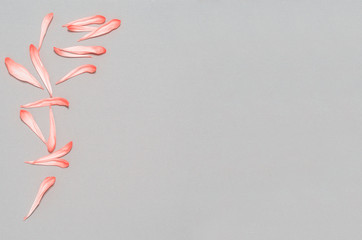 petals frame gray background