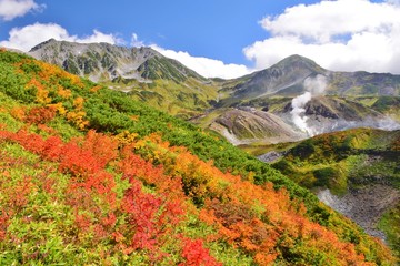 Tateyama / Japan   ~   Autumn