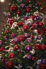 christmas decoration