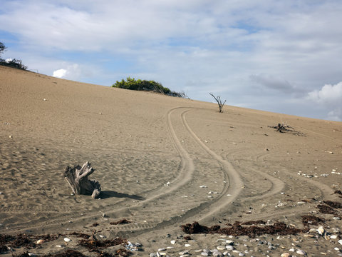 Traces of tire tread on the sand in the desert, road