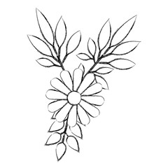 flowers and leafs decoratives vector illustration design