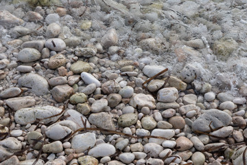 shore with stones