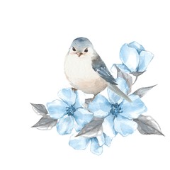 Bird and blue flowers. Watercolor illustration