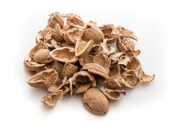 Pile of shells nutshells