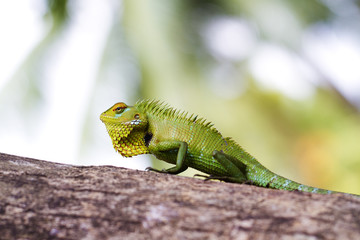 Flashing bright colors