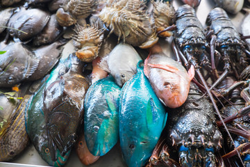 Colourful fresh fish plus crayfish or lobsters for sale at Apia Seafood Market in Samoa, South Pacific