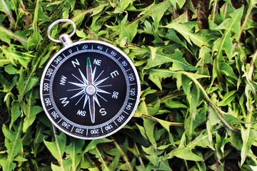 Compass on Green Grass Background.