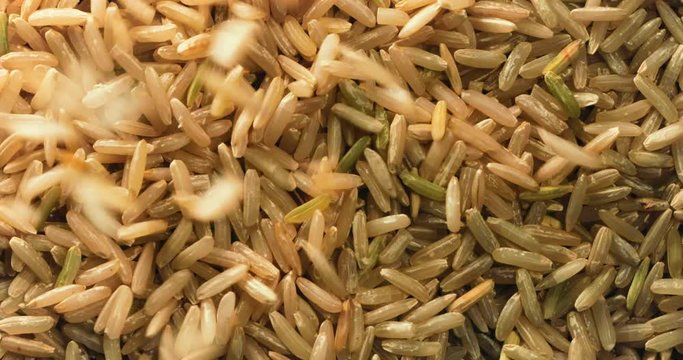 rotation and falling down of dry raw unpolished brown rice , 4k DCi resolution