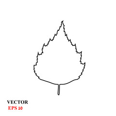 birch leaf. vector illustration