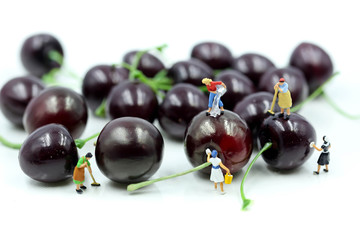 Miniature people : Maid or Housewife cleaning cherry,Food and health concept.