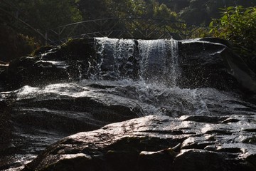 Rock Garden-Darjeeling