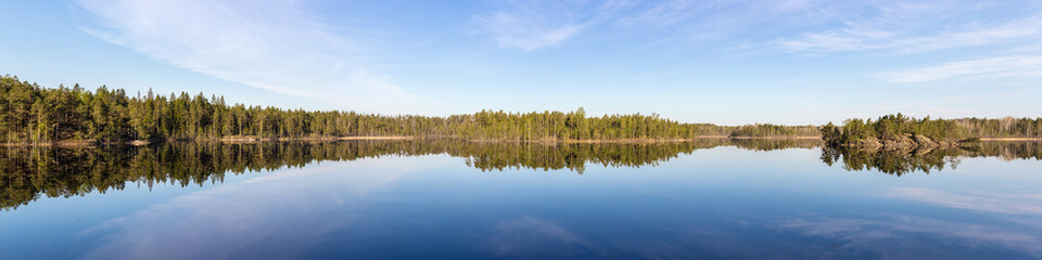 Fototapeta na wymiar forest lake on a sunny day