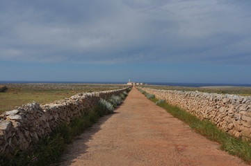 Fototapeta na wymiar Lange gerade Straße auf spanischer Insel Menorca