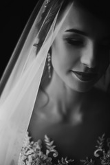 stylish bride portrait under veil. sensual beauty, luxury beautiful wedding dress. rustic wedding...