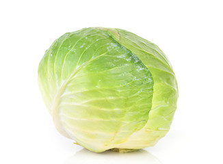 Fototapeta premium Fresh cabbage