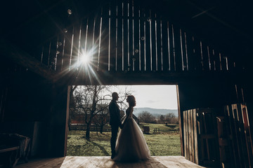 stylish bride and groom hugging in sun light on background of wooden wall in barn. rustic wedding...