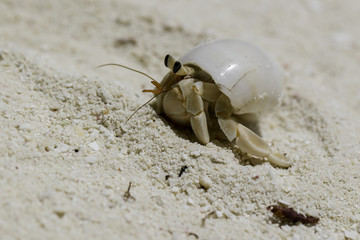 500px Photo ID: 199301411