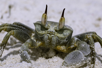 500px Photo ID: 199823523