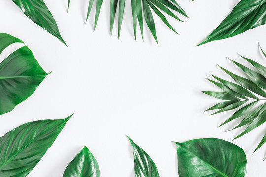 Green tropical palm leaves on gray background. Summer concept. Flat lay, top view, copy space