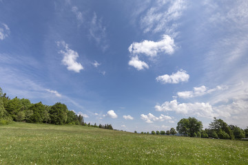 Wiesenlandschaft im Sauerland