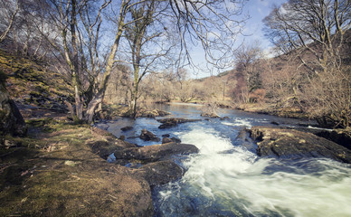 Mountain Creek at Early Spring