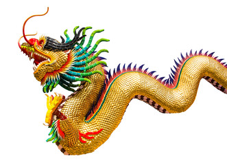 Fototapeta premium golden dragon isolate
