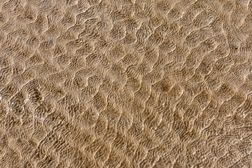 Sea sand clear  surface with waves  for background selective focus