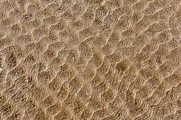 Sea sand clear  surface with waves  for background selective focus