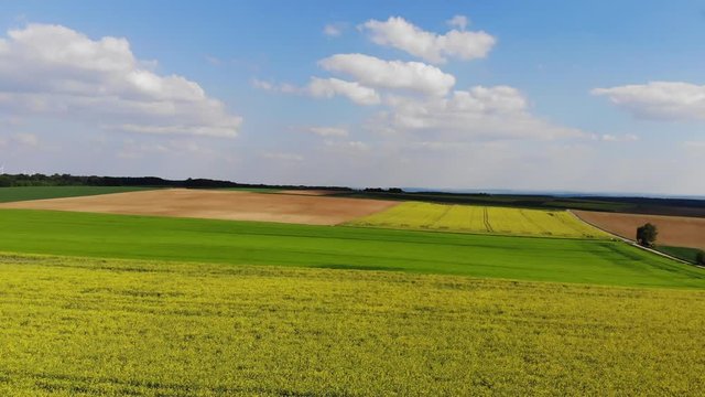 Flight over a rapefield in the country - beautiful aerial footage