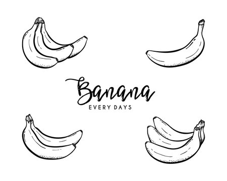 Set of bananas hand drawn illustration sketch vector line art