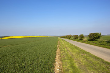 upland farm road with crops
