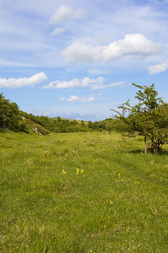 Kiplingcotes chalk pit