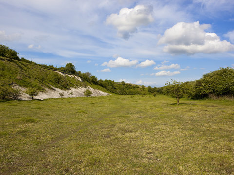 Kiplingcotes nature reserve and chalk pit