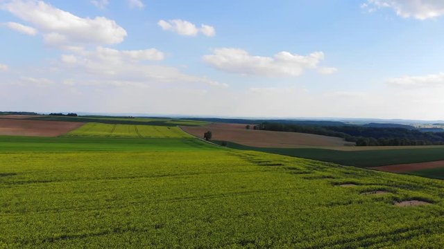Flight over a rapefield in the country - beautiful aerial footage