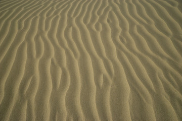 Fototapeta na wymiar Perfect flawless texture of sand dunes at the beach.