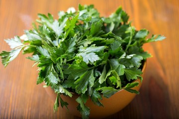 Fresh parsley in a bowl. Fresh greens
