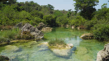River flows through the rainforest in the jungle. Tropical river, jungle. Tropical Rainforest Landscape.