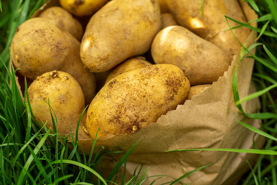 a package of potatoes standing in the grass