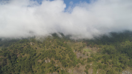 Aerial view of mountains covered forest, trees in clouds and fog. Cordillera region. Luzon, Philippines. Slopes of mountains with evergreen vegetation. Mountainous tropical landscape.