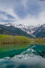 Fototapeta premium 新緑の上高地 大正池と穂高連峰