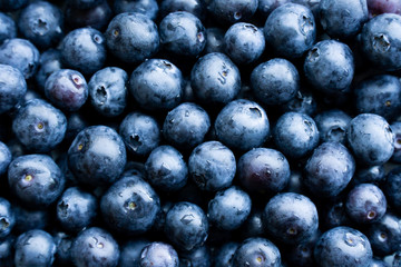 Fresh Blueberry Texture Background Blueberries